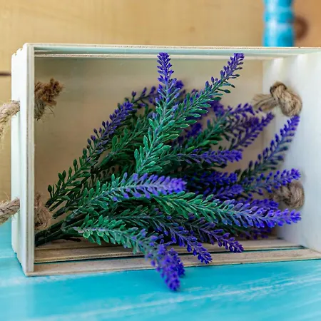 Cozy Seafront Ii Hébergement de vacances